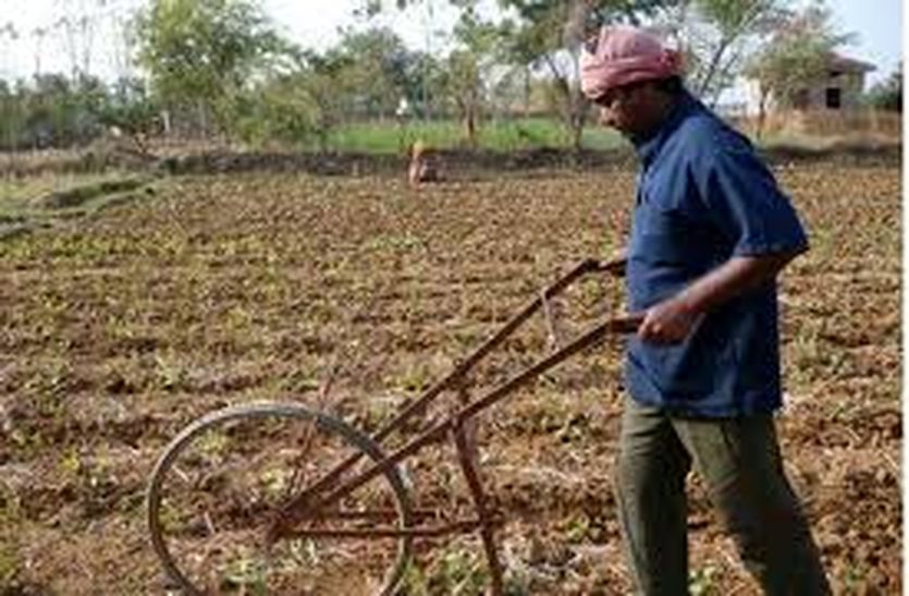 कम बरसात से बुवाई पर पड़ा असर, आज यहां बरसात की संभावना