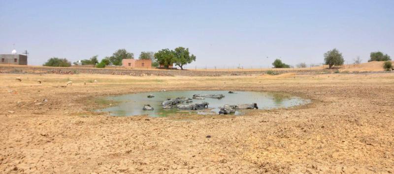 बरसात : प्रदेश के 10 जिलों से रूठा मानसून, सबसे ज्यादा 5 जिले जोधपुर संभाग के