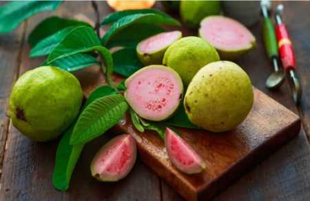 guava is good for health or not