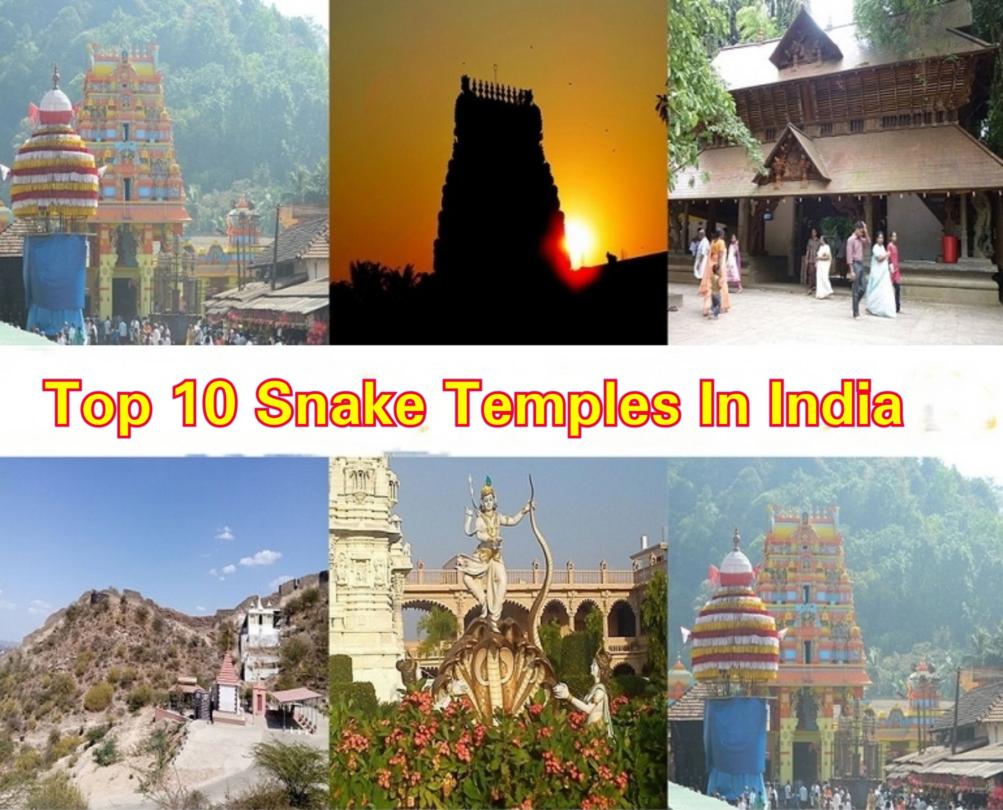 भारत के शीर्ष 10 सांप मंदिर