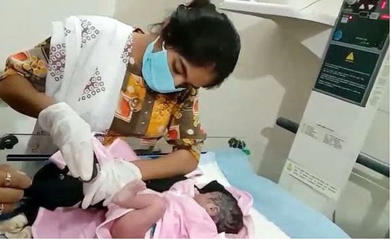 नवजात को फेंका कटिली झाडिय़ों में, आशा ने बचाया