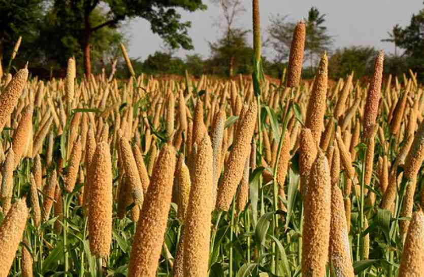 benefits of millet