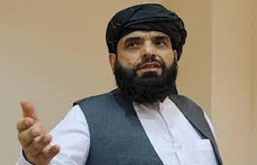 taliban spokesperson