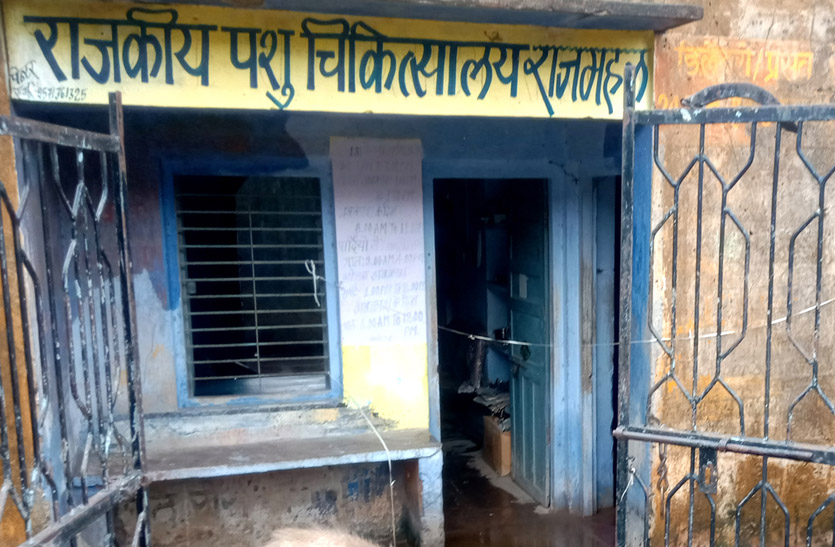 दुर्दशा का शिकार हो रहा राजकीय पशु चिकित्सालय, बारिश में टपकती है छत