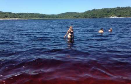 Coca-Cola lake brazil