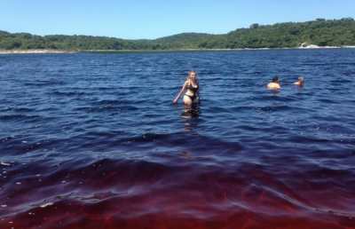 Coca-Cola lake brazil