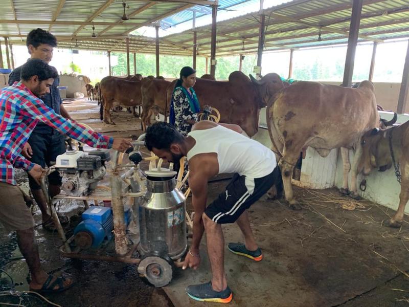 GOOD NEWS: गीर गाय के पालन ने बदल दी आदिवासी महिलाओं की तकदीर