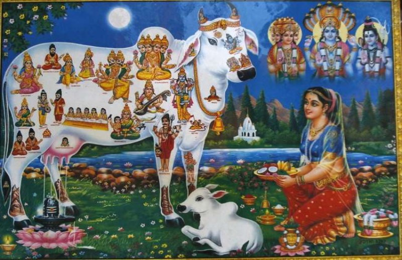 Bahula Chaturthi 2021: द्वापरयुग की इस कथा से जुडी हुई है बहुला चौथ की मान्यता, जानिये पूजा विधि और लाभ