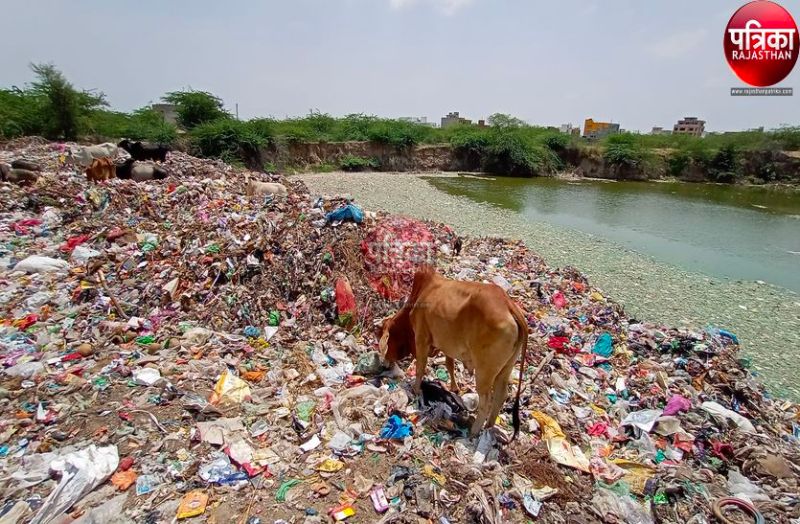 VIDEO : डम्पिंग स्टेशन से उठाना था कचरा, 21 लाख दिए और कचरा डाल दिया नाडी में