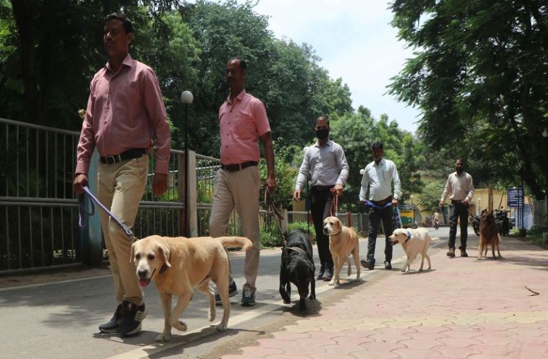 चोरी पकडऩे का मास्टर है डीएसपी एलिस तो अंंधे कत्ल को मिनटों में सुलझाते है ममाइकल, मिकी, रीटा और मैक