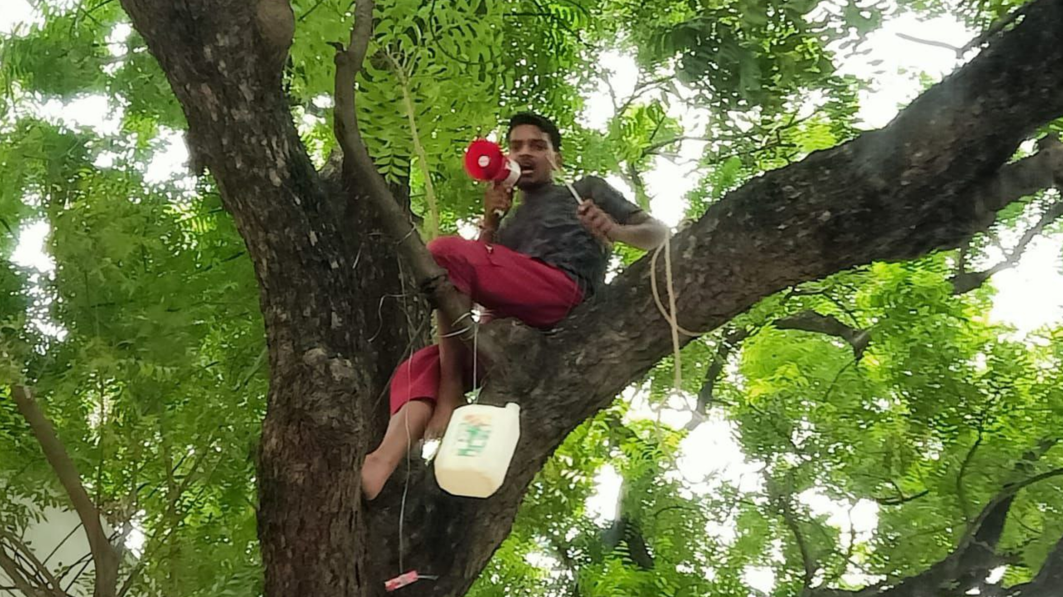 High Voltage Drama - शोले का वीरू बसंती के लिए चढ़ा था टंकी पर, उन्नाव में युवक चढ़ा पेड़ पर, जाने क्यों