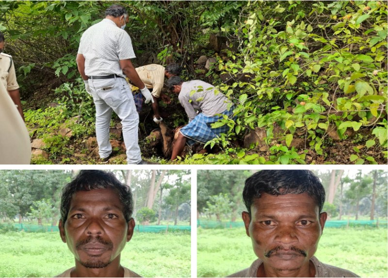 Bear killed by villagers