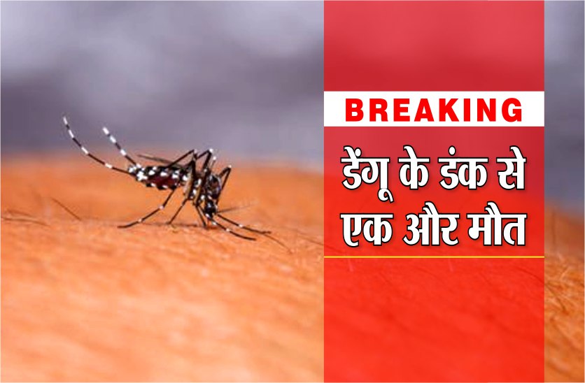 death due to dengue in mp
