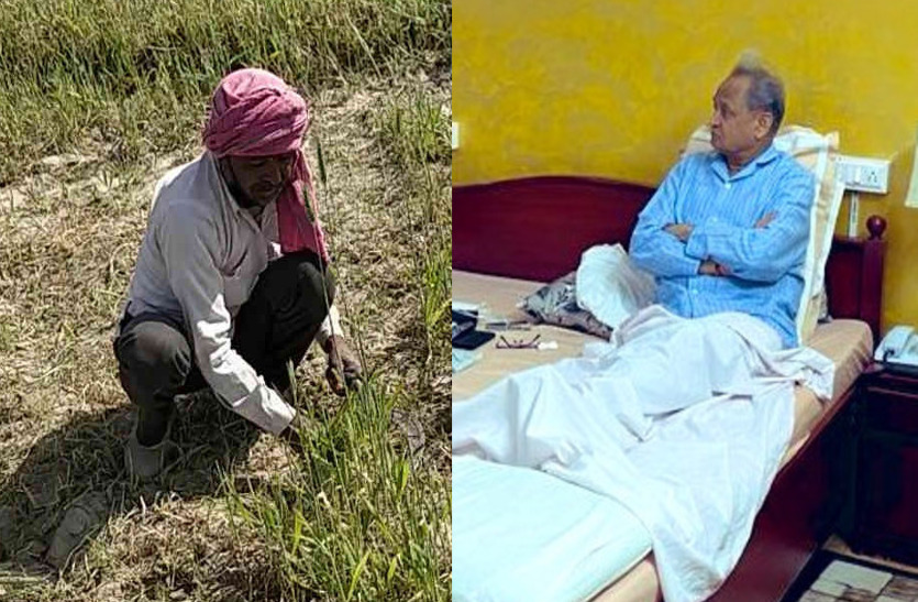 Rajasthan CM Ashok Gehlot directs for special as relief to farmers