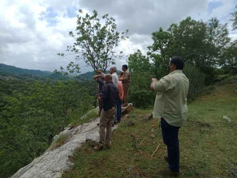 एनटीसीए की एक्सपर्ट कमेटी टीम दो दिन पहले कुंभलगढ़ में