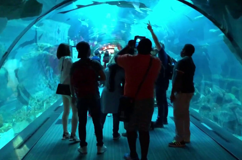 Underwater Aquarium In Bhopal Van Vihar Bada Taalab Bhopal