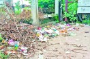 कॉलोनी में कचरे का ढेर, नहीं हो रही सुनवाई