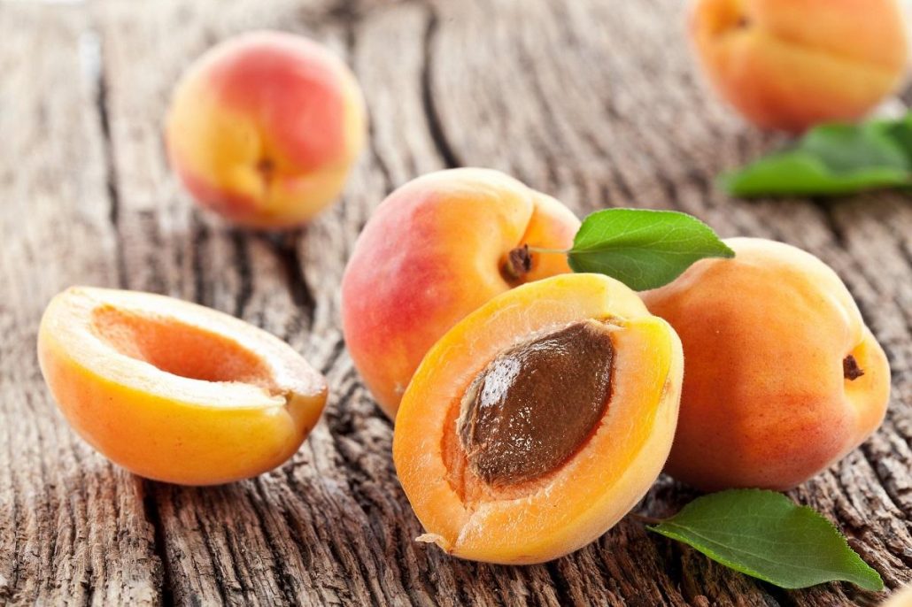apricot-day.jpg