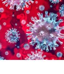 West Bengal: मुख्य सचिव ने दिया निर्देश , दुर्गापूजा के पंडालों में कोरोना प्रोटोकॉल का हो सख्ती से पालन