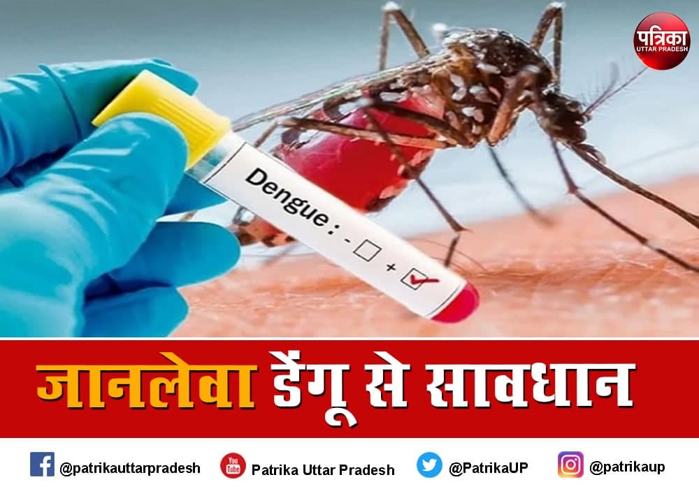  dengue cases are increasing in lucknow