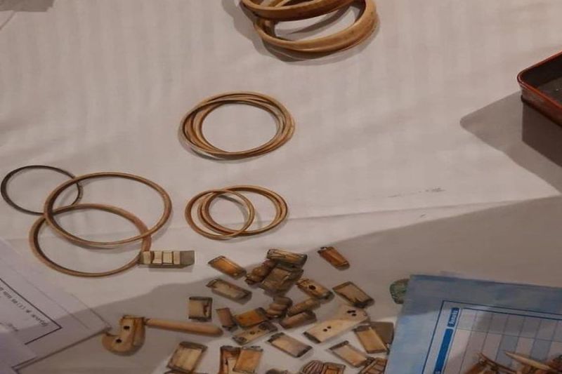 जोधपुर में हाथी दांत के आभूषणों का ऑनलाइन व्यापार करने वाले दो आरोपियों को दबोचा