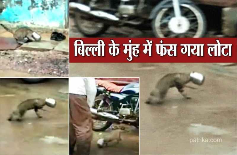 Unique view in Gopalpura