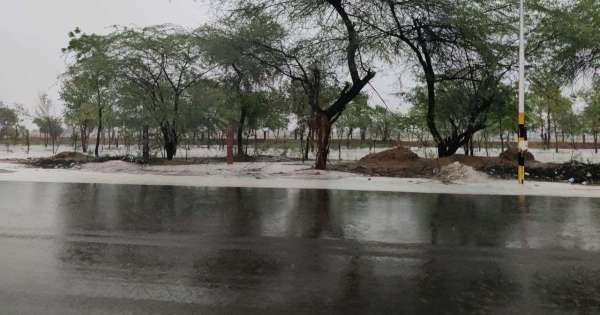 थार पर इन्द्र मेहरबान: बायतु, बालोतरा गिड़ा व शिव में बरखा बहार