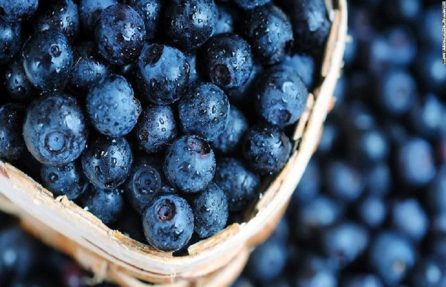 Blueberry Health Benefits