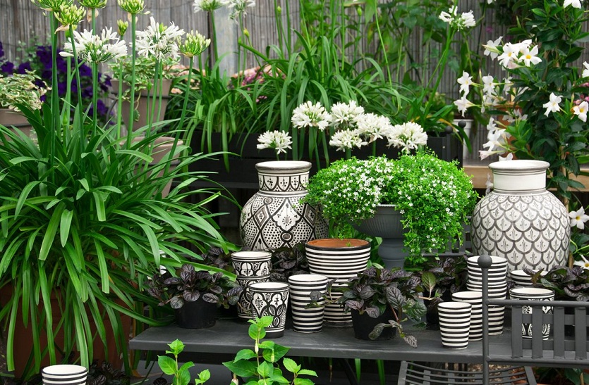 छोटी जगह और थोड़े खर्च में ऐसे बनाएं घर में ग्रीन कॉर्नर