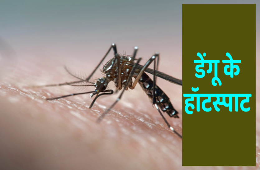 Dengue Hot Spot Dengue Cases In Meerut