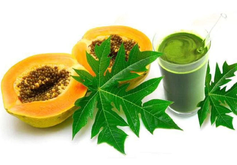 papayaleavesjuice_dengue.jpg