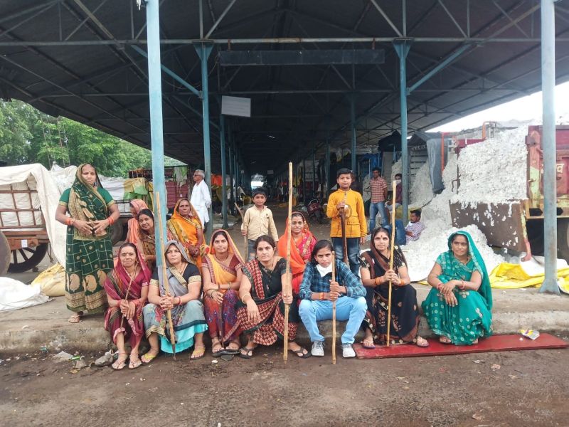 VIDEO कपास नीलामी मुहूर्त में पीडित किसानों ने किया विरोध प्रदर्शन