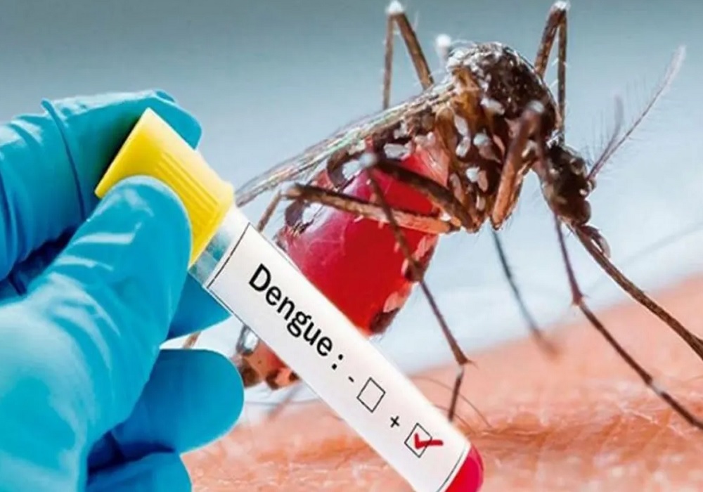 सीडीआरआई ने तलाश ली डेंगू की दवा, चूहों पर ट्रायल सफल अब मनुष्य पर होगा परीक्षण