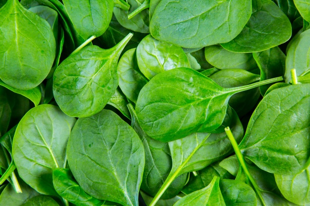 spinach-leaves.jpg