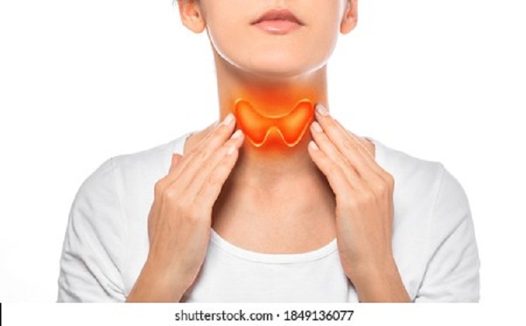 thyroid.jpg