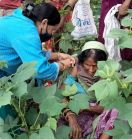 VIDEO अब वैक्सीनेटर संभाल रही फलियों में वैक्सीन का जिम्मा, 48  टीमें लगाई गई