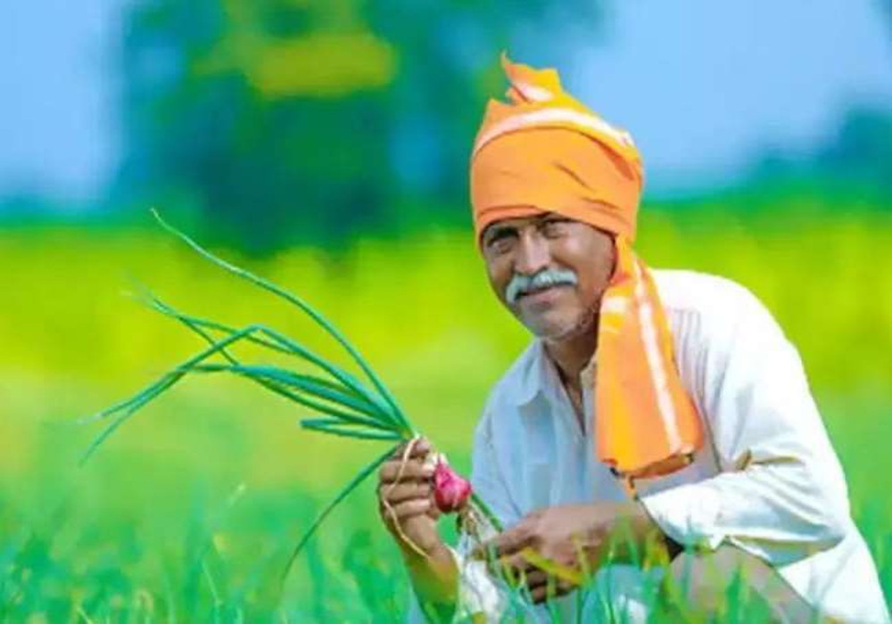 किसानों की आमदनी बढ़ाने के लिए प्रदेश सरकार ने लिया बड़ा फैसला