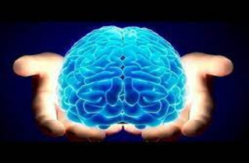 brain_pic.jpg