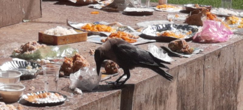 तालाबों में चल रहे तर्पण कर्म, पितरों के निमित्त अन्न और वस्त्र दान