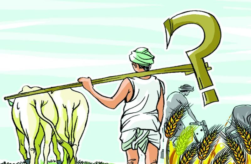 न सर्वे पूरा न गिरदावरी, पांच दिन में 58 करोड़ का नुकसान