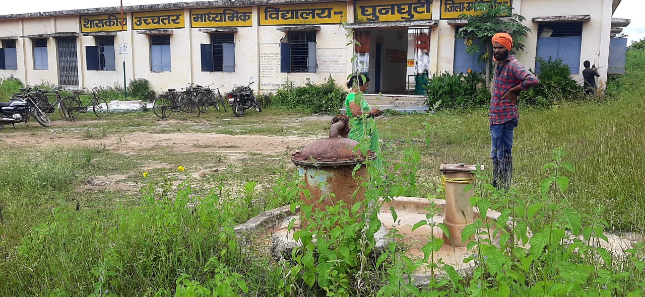 Plants grew in the school premises, the dirt spread