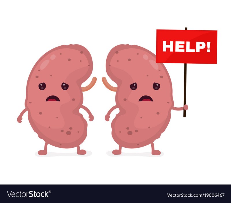 sad_kidneys.jpg