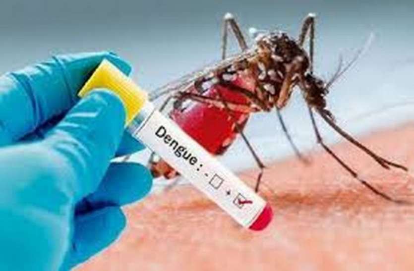 Dengue havoc - 400 positive in Indore