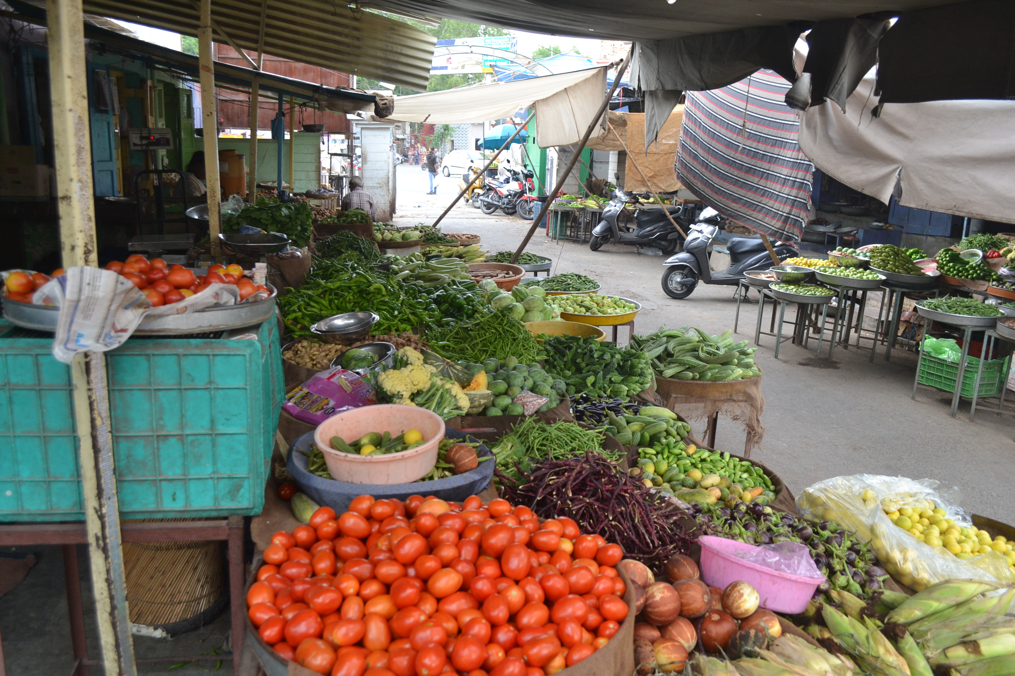 Maharashtra rain effect, Vegetable Price Hike In Rajasthan