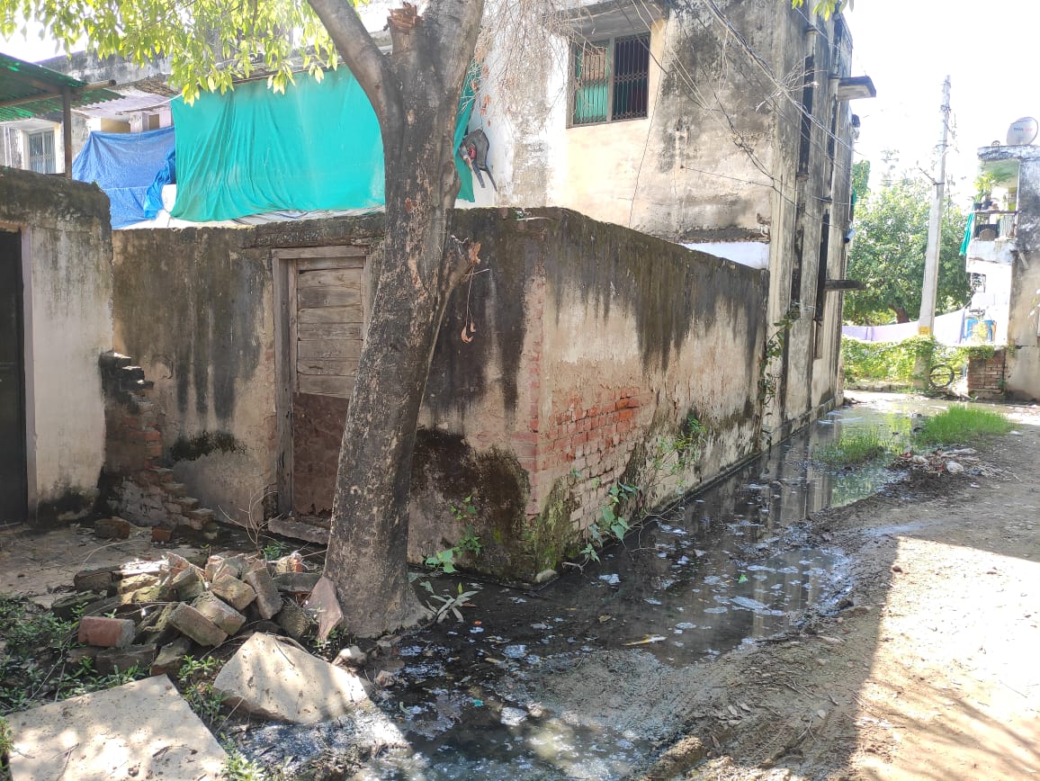 सरकारी आवासों में सीवर लाइन का कनेक्शन नहीं, मच्छरों का प्रकोप