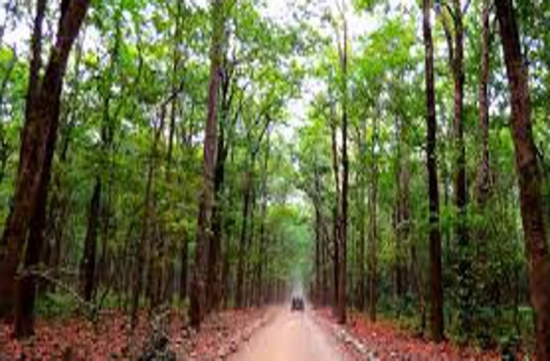 Complaint of DFO from CM