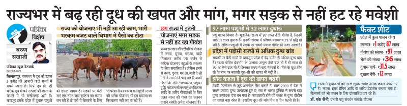 बढ़ रही दूध की खपत और मांग, मगर सड़क से नहीं हट रहे पशु