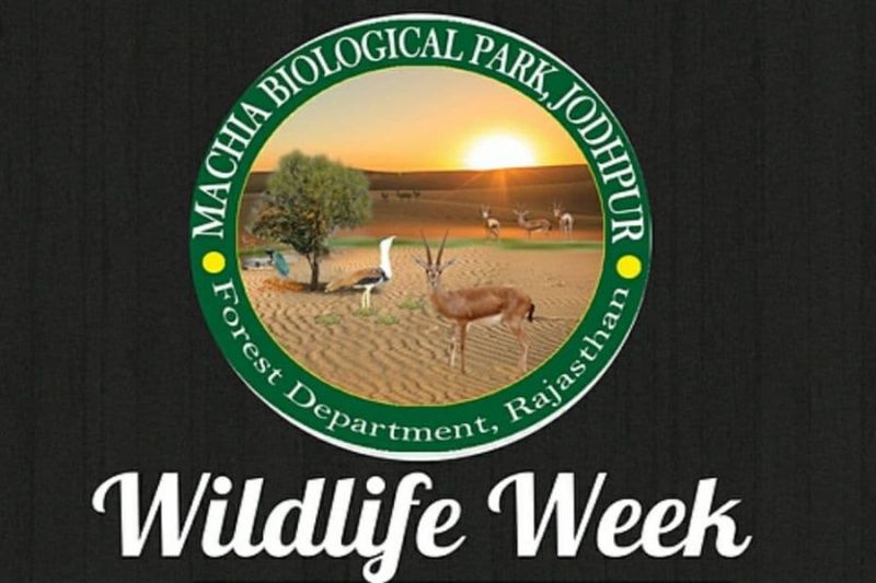 विद्यार्थियों को माचिया जैविक उद्यान भ्रमण कराया, औषधीय पौधे वितरित