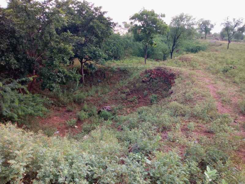 जयपुर से 75 किलोमीटर दूर दबा है 20 अरब का सोना, बढ़ती कीमतों ने जगाई आस