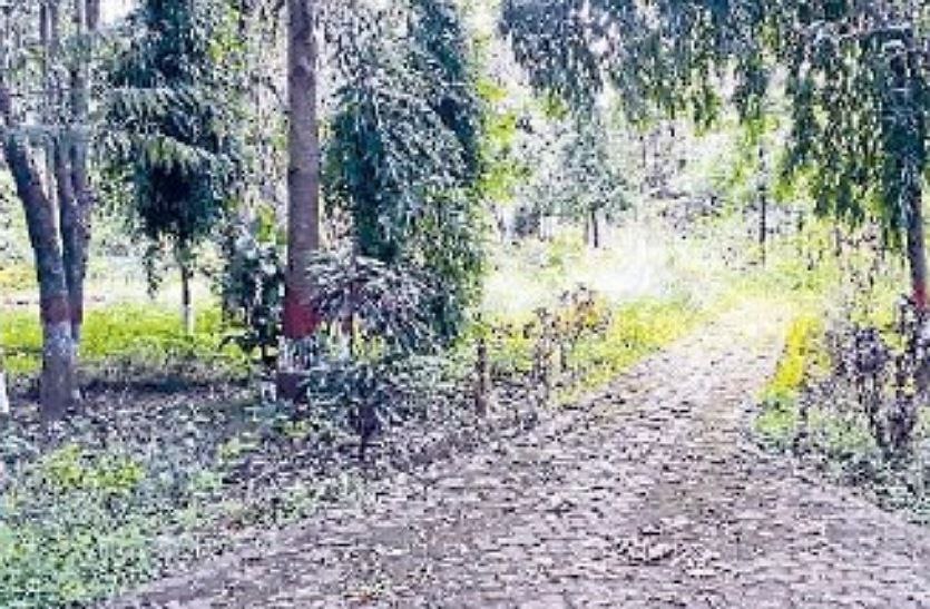 मध्यप्रदेश का अनूठा पार्क- यहां रोगों से लडऩे मिलती है, संजीवनी